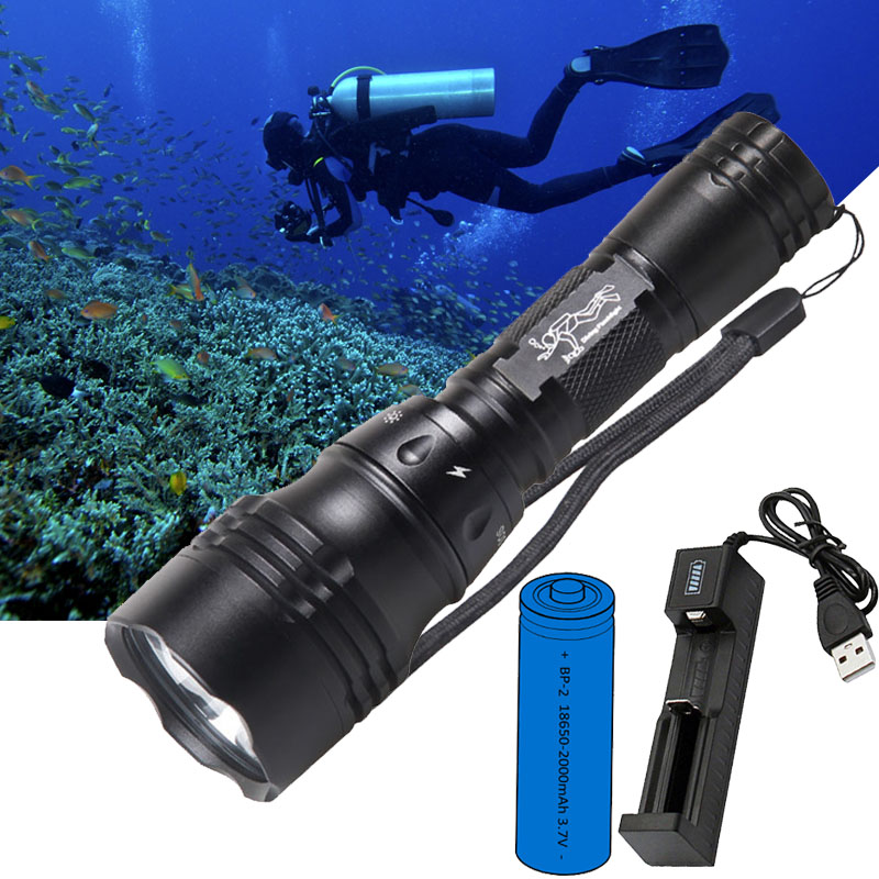 Diving Lamp Portable 10W T6 L2 - Fish Finder Charger review and price